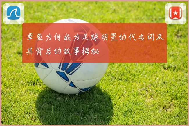 章鱼为何成为足球明星的代名词及其背后的故事揭秘