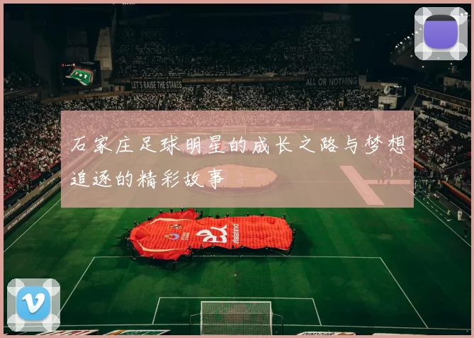 石家庄足球明星的成长之路与梦想追逐的精彩故事