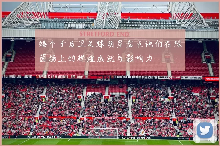 矮个子后卫足球明星盘点他们在绿茵场上的辉煌成就与影响力