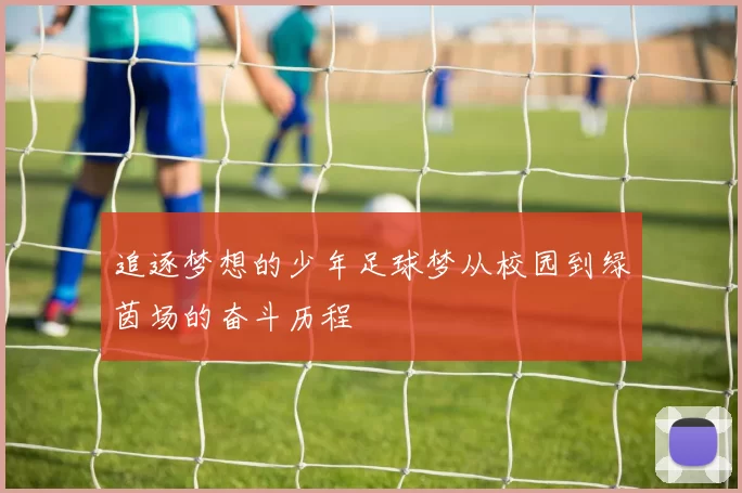 追逐梦想的少年足球梦从校园到绿茵场的奋斗历程