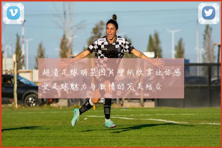超清足球明星图片壁纸欣赏让你感受足球魅力与激情的完美结合