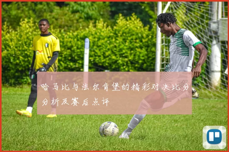 哈马比与法尔肯堡的精彩对决比分分析及赛后点评