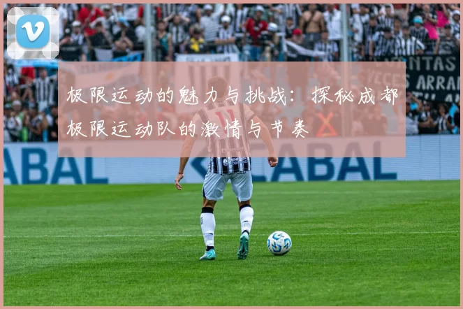 极限运动的魅力与挑战：探秘成都极限运动队的激情与节奏