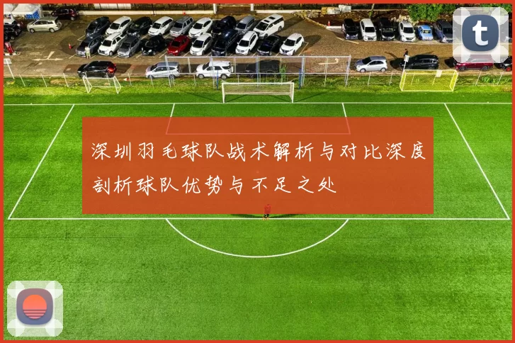 深圳羽毛球队战术解析与对比深度剖析球队优势与不足之处