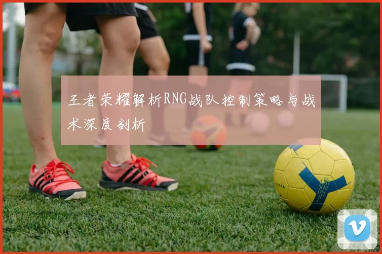 王者荣耀解析RNG战队控制策略与战术深度剖析