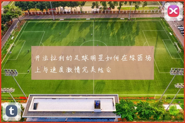 开法拉利的足球明星如何在绿茵场上与速度激情完美结合