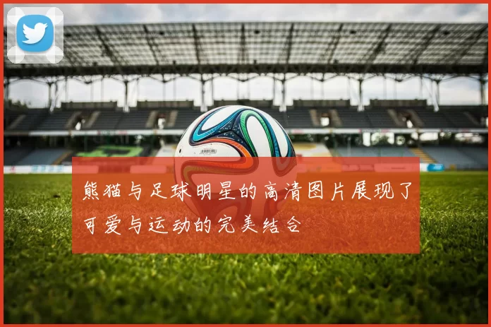 熊猫与足球明星的高清图片展现了可爱与运动的完美结合
