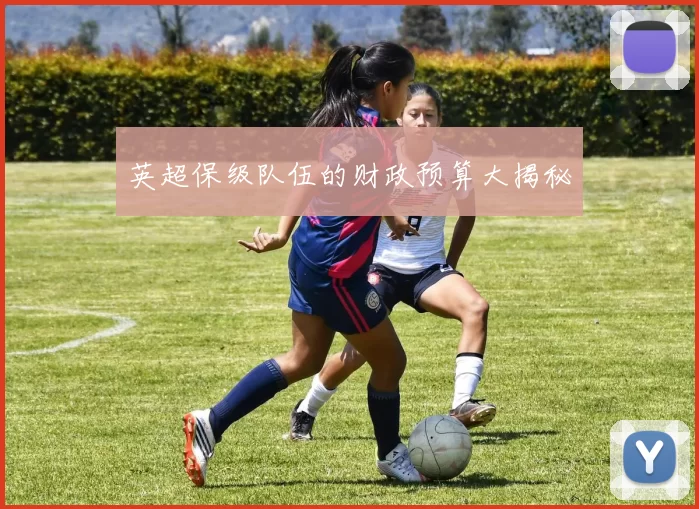 英超保级队伍的财政预算大揭秘