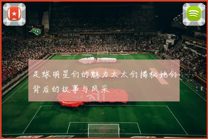 足球明星们的魅力太太们揭秘她们背后的故事与风采