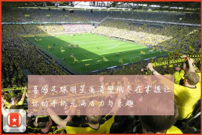 喜感足球明星高清壁纸尽在掌握让你的手机充满活力与乐趣