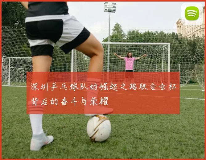 深圳乒乓球队的崛起之路联合会杯背后的奋斗与荣耀