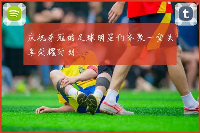 庆祝夺冠的足球明星们齐聚一堂共享荣耀时刻