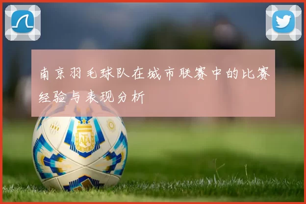 南京羽毛球队在城市联赛中的比赛经验与表现分析