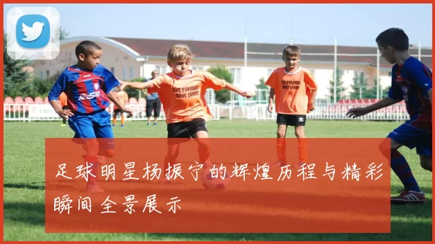 足球明星杨振宁的辉煌历程与精彩瞬间全景展示