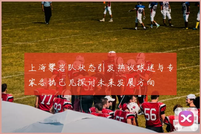 上海攀岩队状态引发热议球迷与专家各执己见探讨未来发展方向