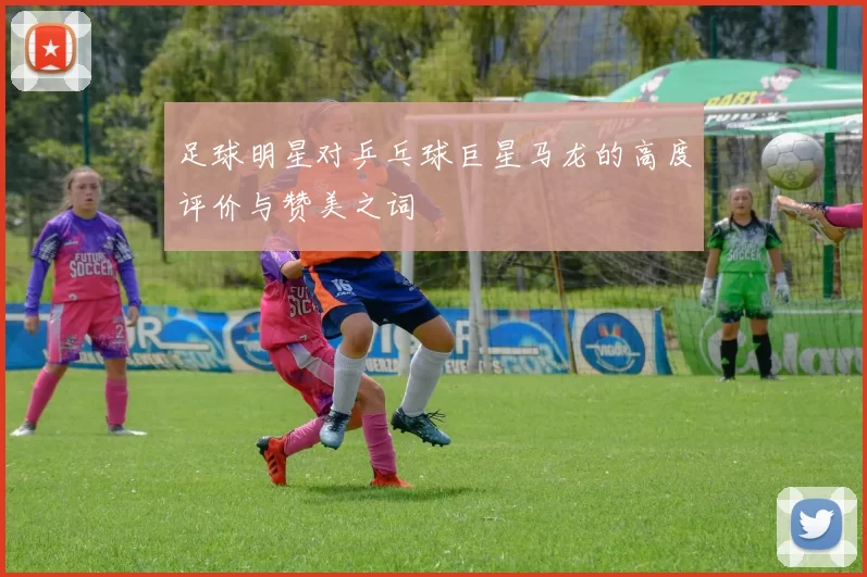 足球明星对乒乓球巨星马龙的高度评价与赞美之词