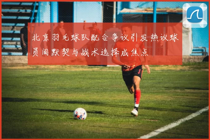 北京羽毛球队配合争议引发热议球员间默契与战术选择成焦点