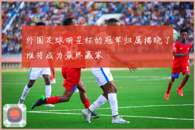 外国足球明星杯的冠军归属揭晓了谁将成为最终赢家