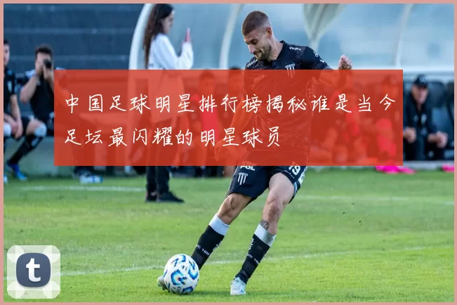 中国足球明星排行榜揭秘谁是当今足坛最闪耀的明星球员