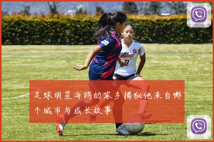 足球明星海鸥的家乡揭秘他来自哪个城市与成长故事