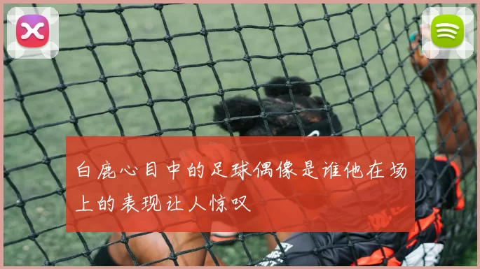 白鹿心目中的足球偶像是谁他在场上的表现让人惊叹