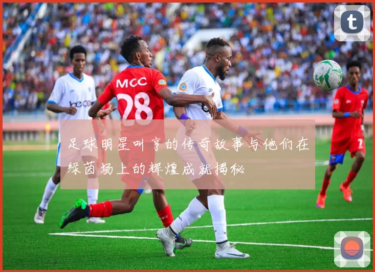 足球明星叫亨的传奇故事与他们在绿茵场上的辉煌成就揭秘