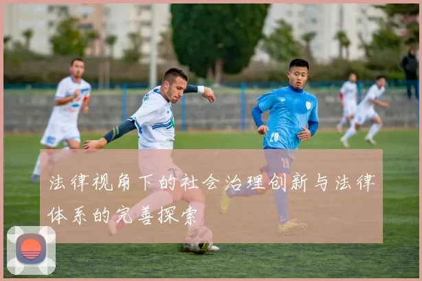 法律视角下的社会治理创新与法律体系的完善探索