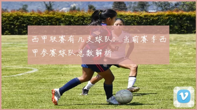 西甲联赛有几支球队：当前赛季西甲参赛球队总数解析