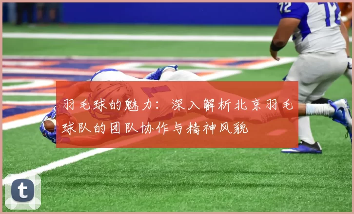 羽毛球的魅力：深入解析北京羽毛球队的团队协作与精神风貌