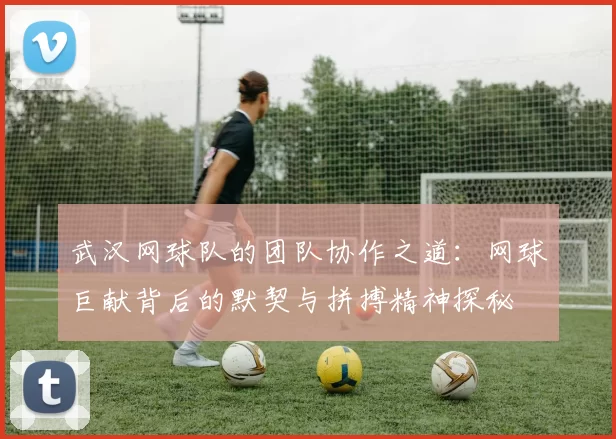 武汉网球队的团队协作之道：网球巨献背后的默契与拼搏精神探秘