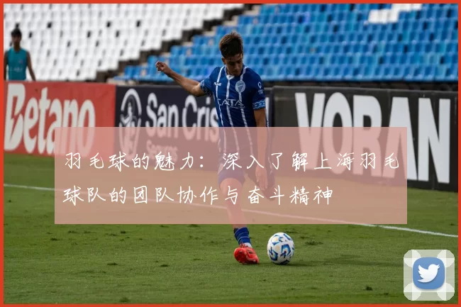 羽毛球的魅力：深入了解上海羽毛球队的团队协作与奋斗精神