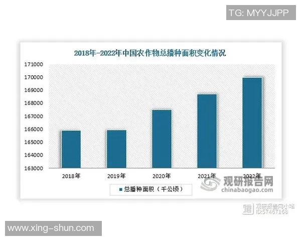 五谷丰登：探索五种传统农作物的栽培技术与未来发展趋势