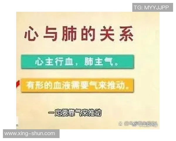 心肺功能对健康的影响与优化策略：提升体能与预防慢性病的关键因素